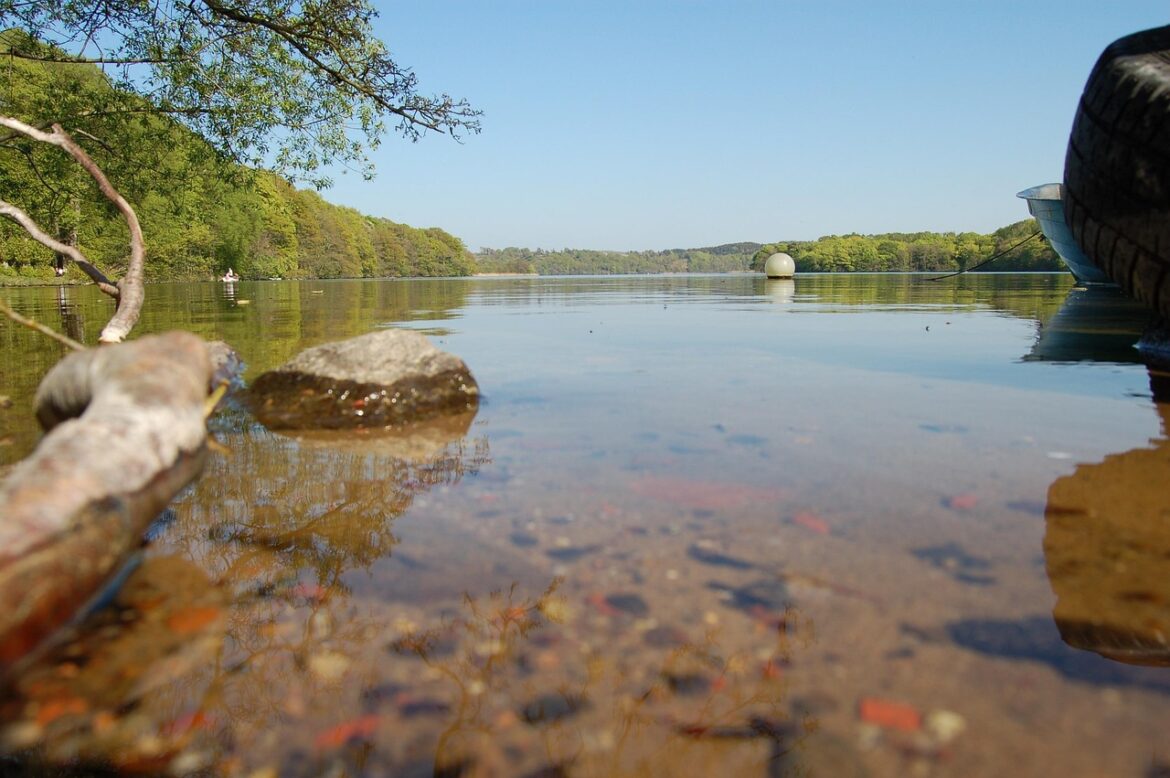 hold-lake-2726417_1280