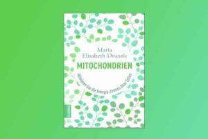 Mitochandrien