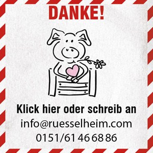 anzeige-ruesselheim-kuhrettung2